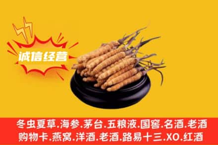 抚顺新抚区回收冬虫夏草